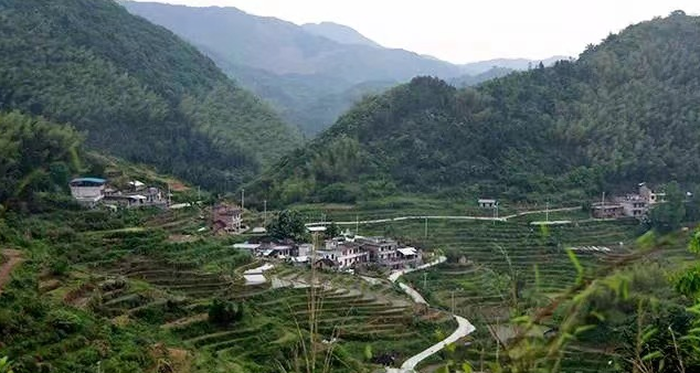 【乡村振兴进行时】小溪村今年打算这么干