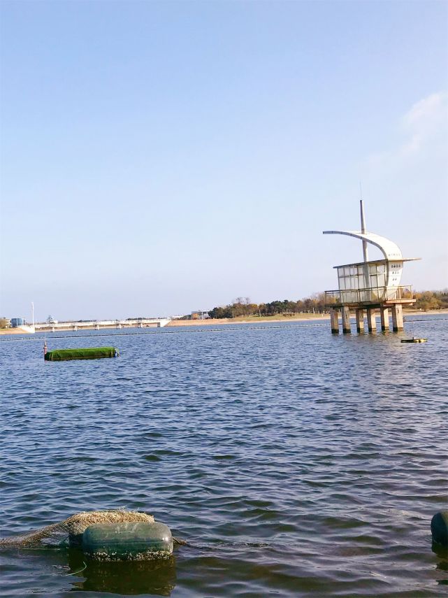 日照旅游攻略刘家湾赶海园怎么玩安利一波真理给你