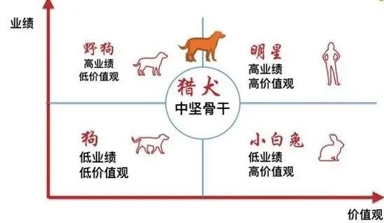 两者同等重要,考核结果形成"业绩-价值观"四象限矩阵,五类员工分布在