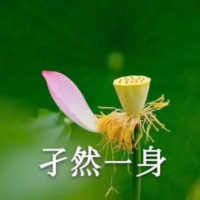 情頭|白襯衫西裝情侶頭像 我是你的甲乙丙丁