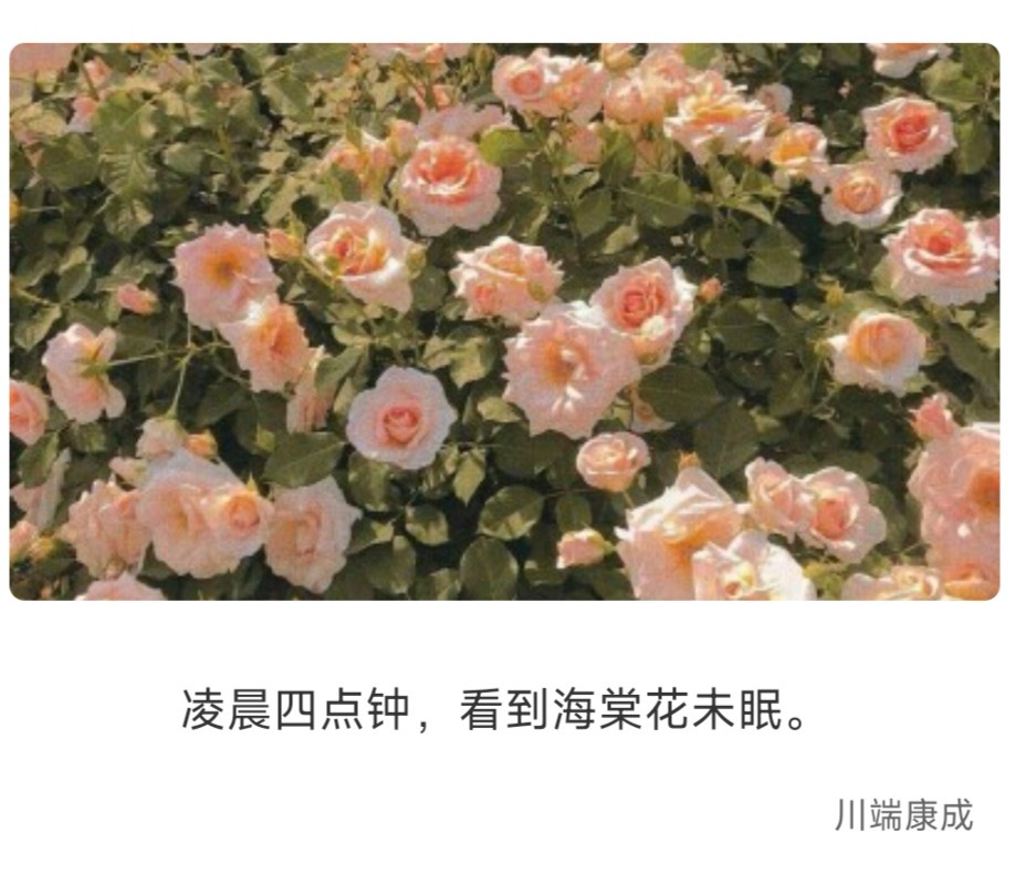 名人名言合计 腾讯新闻