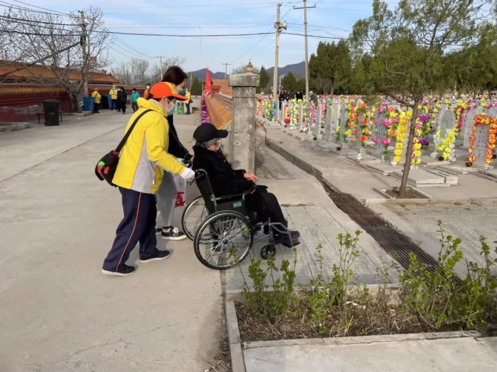 旅游｜赏花经济与花海旅游“百花齐放”杨洋语文网课资源2023已更新(网易/腾讯)