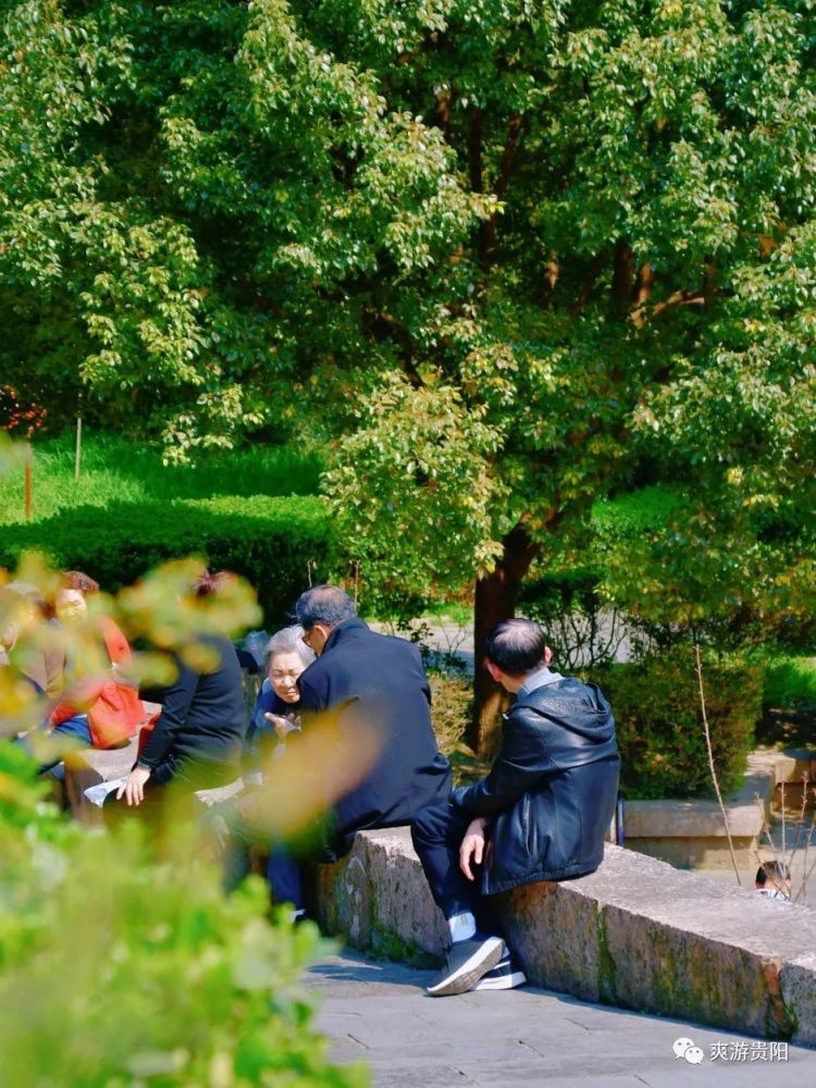 阳光明媚春意正浓去贵阳这些地方晒太阳