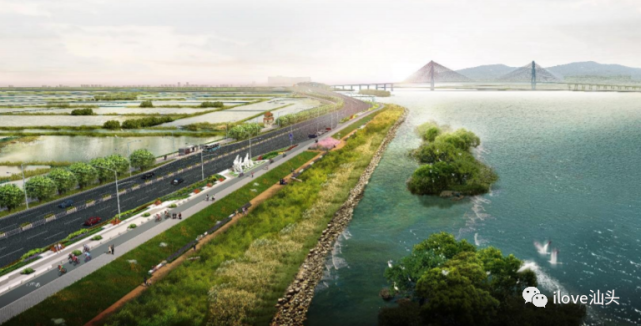 海滨路西延项目进展!