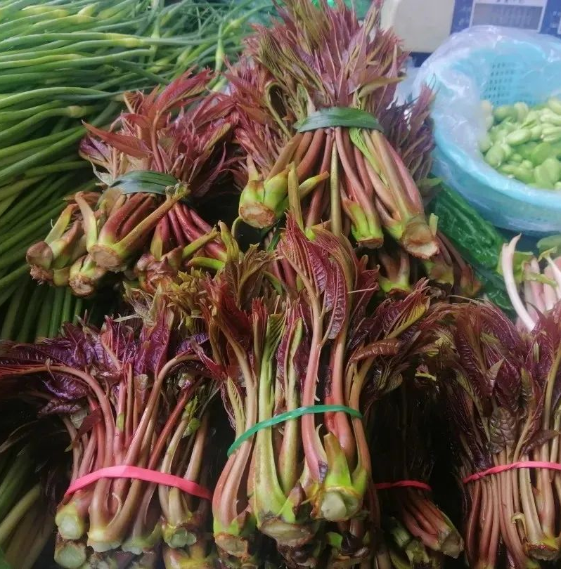 刺苞菜刺苞菜,又称"树头菜,其外形似香椿,是一种刺藤乔木的伞状嫩尖