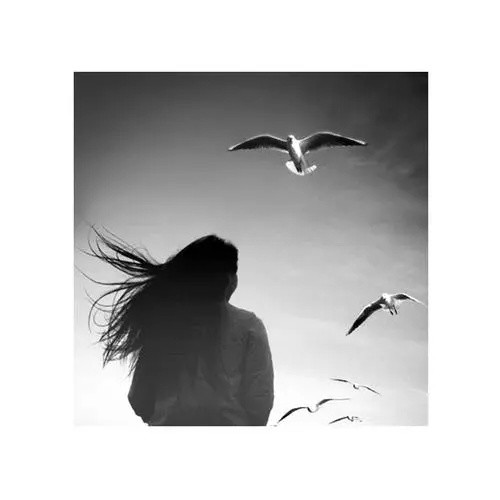 一只孤身的飞鸟