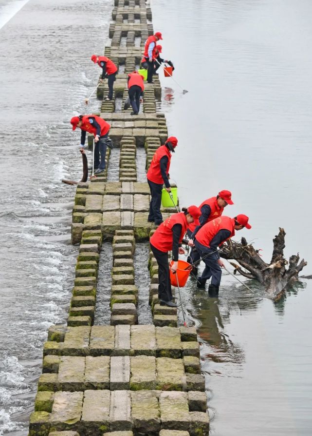 六五环境日|生态环境保护主题摄影作品选登(5)