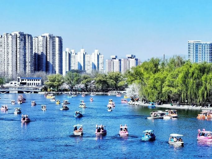 北京名字最好听的一个公园，2050亩在闹市中，正是赏花好时节腾讯开心鼠英语下载免费