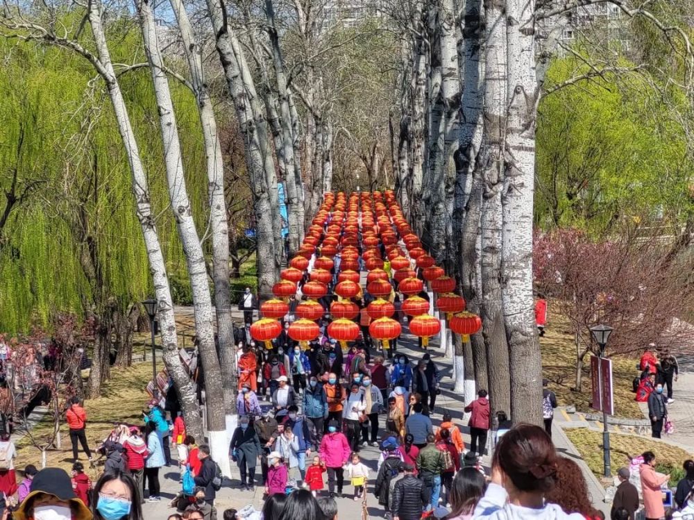 北京名字最好听的一个公园，2050亩在闹市中，正是赏花好时节腾讯开心鼠英语下载免费