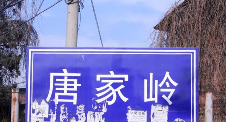唐家岭，蚁族在北京崛起的地方北师大版高二英语选修6单词
