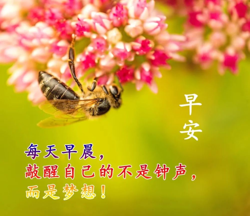 春天群發暖心問候祝福圖片早安帶字祝福溫馨圖片