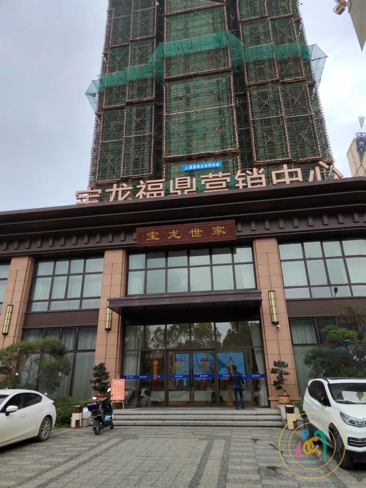 福鼎宝龙这是啥情况腻