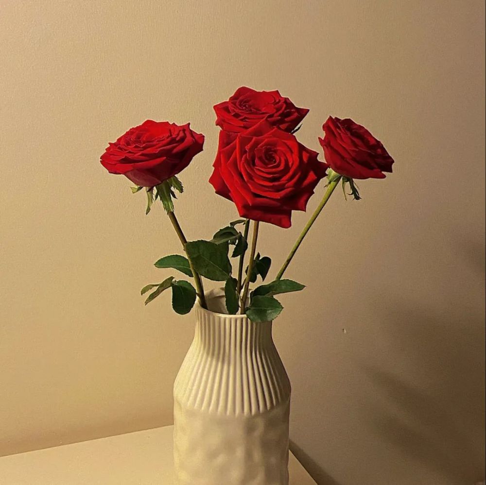 微信头像|自我感动是病态_腾讯新闻