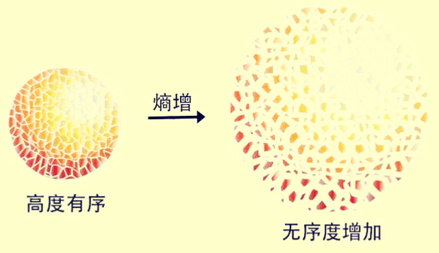 你会因此而顿悟一切生命与非生命的底层定律熵增定律