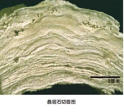 叠层石用"生老病死"的一生来记载地球的故事!