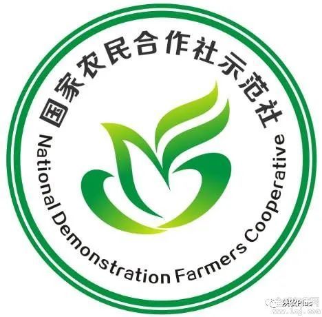 黄龙县乡村产业振兴的生力军——黄龙县农民合作社