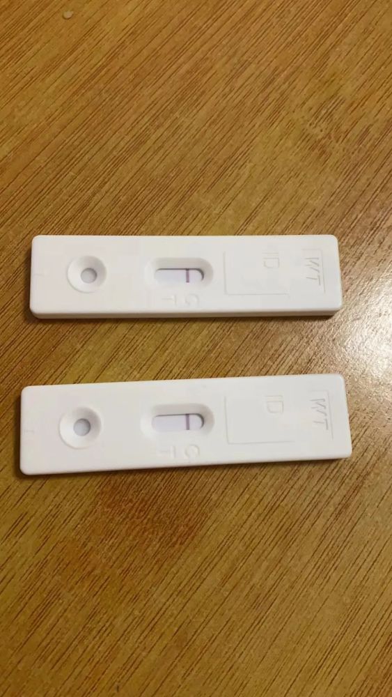 抗原自测和核酸检测一样吗?能否代替核酸检测?专业人士详解_腾讯新闻