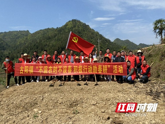 古丈县古阳镇开展不误农时不误春积极行动助春耕活动