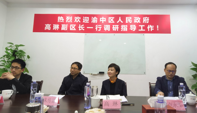 渝中区政府副区长高琳调研区文旅产业发展促进会_腾讯新闻