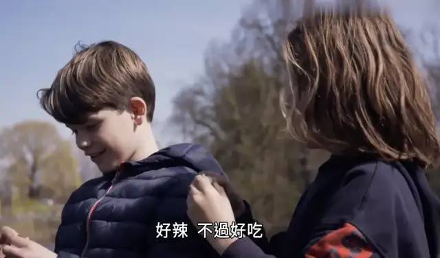 阳台种菜成为城市新生活先用眼睛做个农夫吧清单