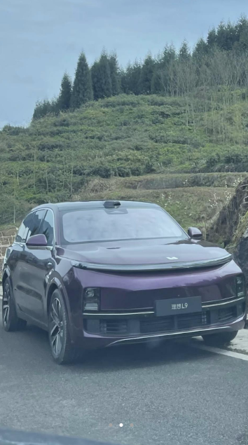 理想L9紫色版实车曝光，售价45-50万元价格区间阿斯顿英语双减政策