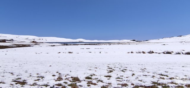 昭通大山包保护区呈现阳春白雪景致