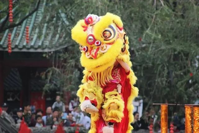 【徐闻县中小学生"贵生杯"征文比赛:32号作品】关莹莹|67舞狮继传统