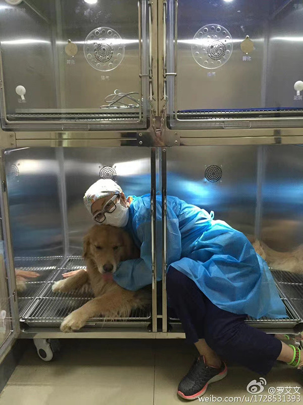 口述|疫情下的宠物救助志愿者:救宠物,安抚的是主人的心