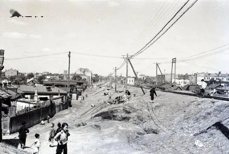 哈尔滨刀枪炮子排行榜_哈尔滨“刀枪炮”覆灭记:8男4女纠集一起团伙作案,3月作案135起