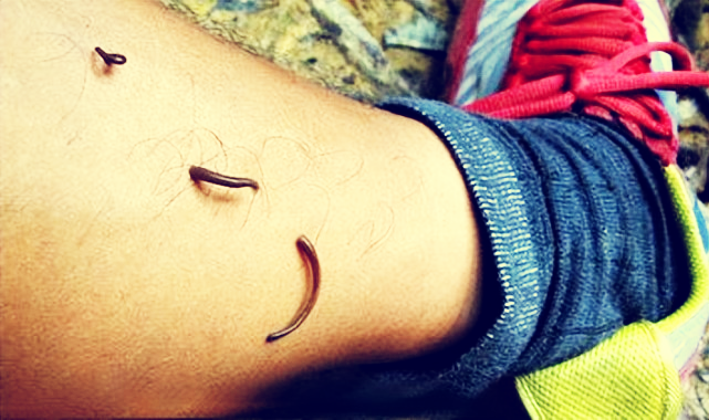 江苏一男子隔离期忍不住三进三出抓蚂蟥,就为炒盘菜