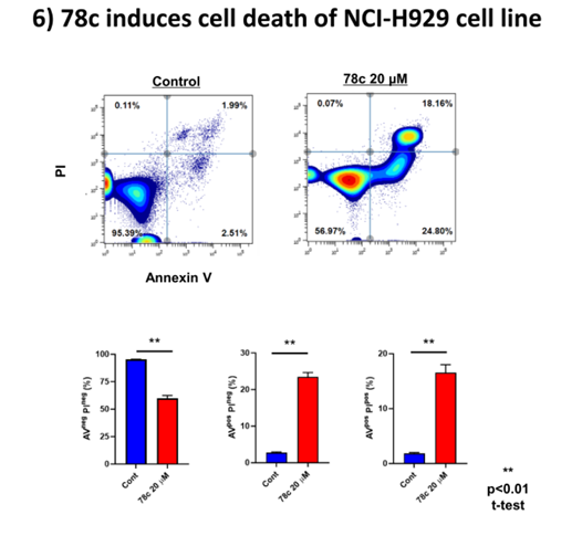 cd38在多發性骨髓瘤細胞生物學中的作用