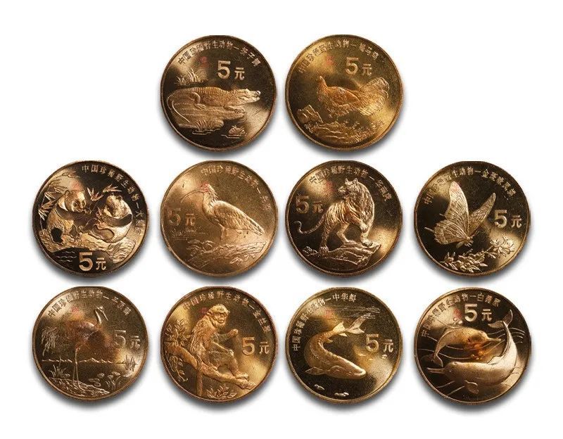 抢!珍稀野生动物纪念币套装,发行量仅600万套!_腾讯新闻