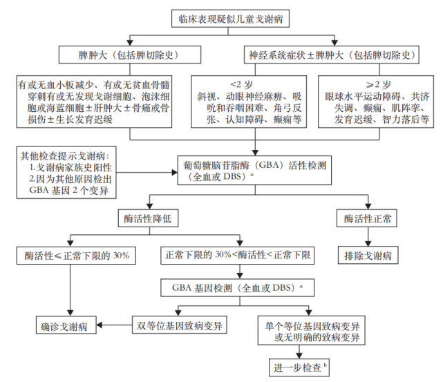 儿童戈谢病从诊治到管理,看罗小平教授解读权威共识!