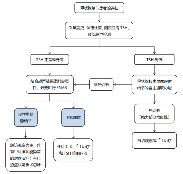 5 张图表搞定甲状腺结节诊疗全过程!