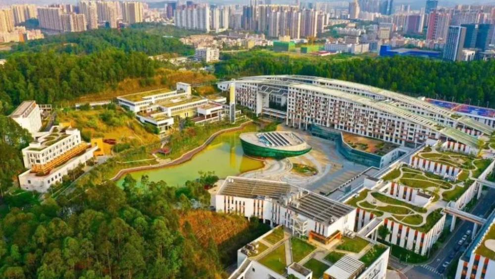 深圳技师学院毕业生就业质量呈现"六高"特征_腾讯新闻