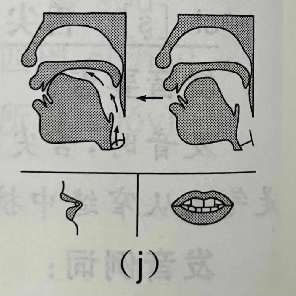 有聲配音普通話基礎發音jqxgkh發音及練習