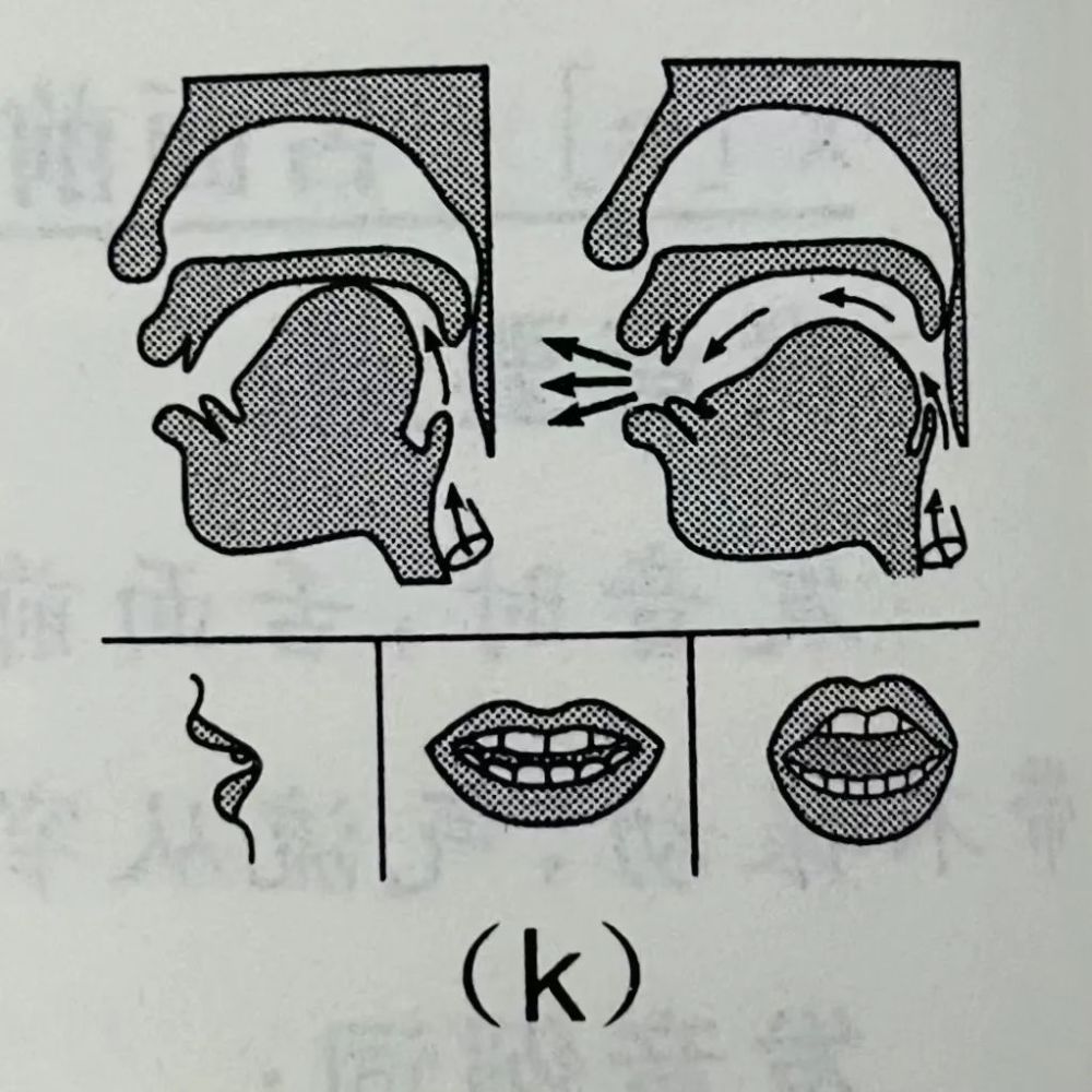 有聲配音|普通話基礎發音—j q x g k h發音及練習(圖6)