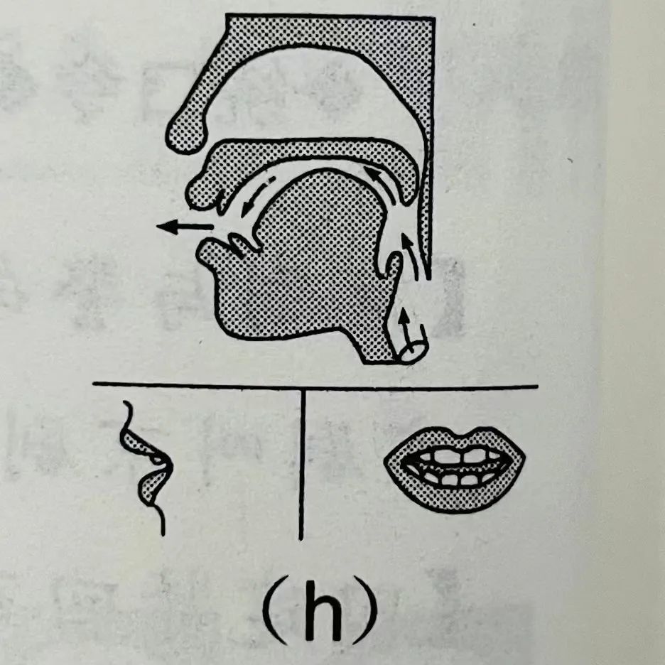 有聲配音|普通話基礎發音—j q x g k h發音及練習(圖7)
