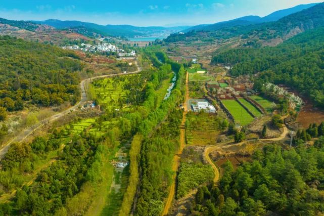 以田为纸,以花作画,呈贡的美丽乡村让人心之所"象"
