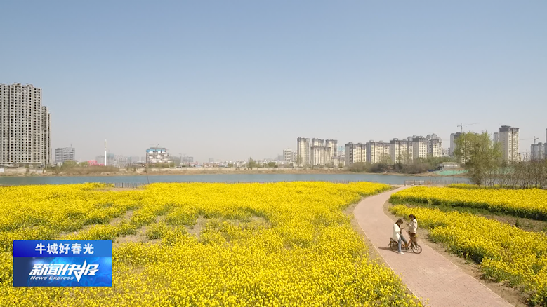 牛城好春光东汪镇油菜花开映泉水一方春色醉人心
