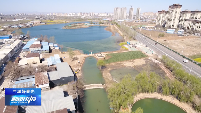 牛城好春光东汪镇油菜花开映泉水一方春色醉人心