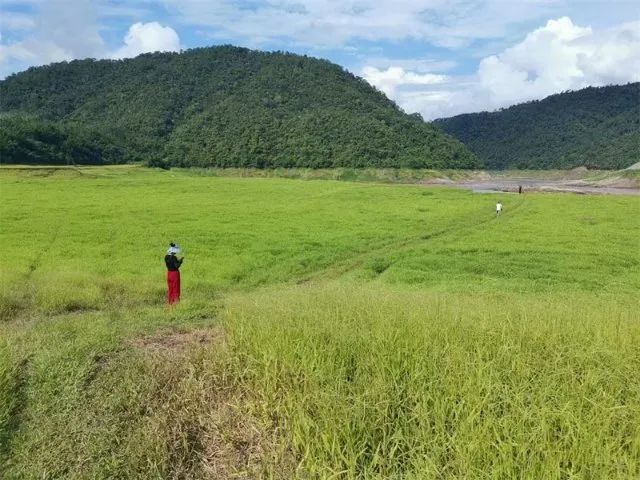 鎮沅縣|恩樂鎮|紫馬街|茶馬古道|普洱|石大富