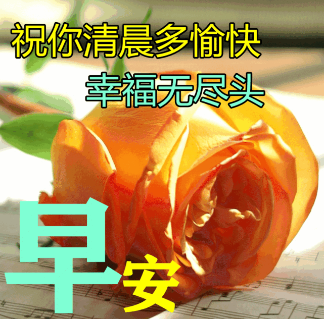 早上好祝福語圖片大全問候動態表情圖片大全