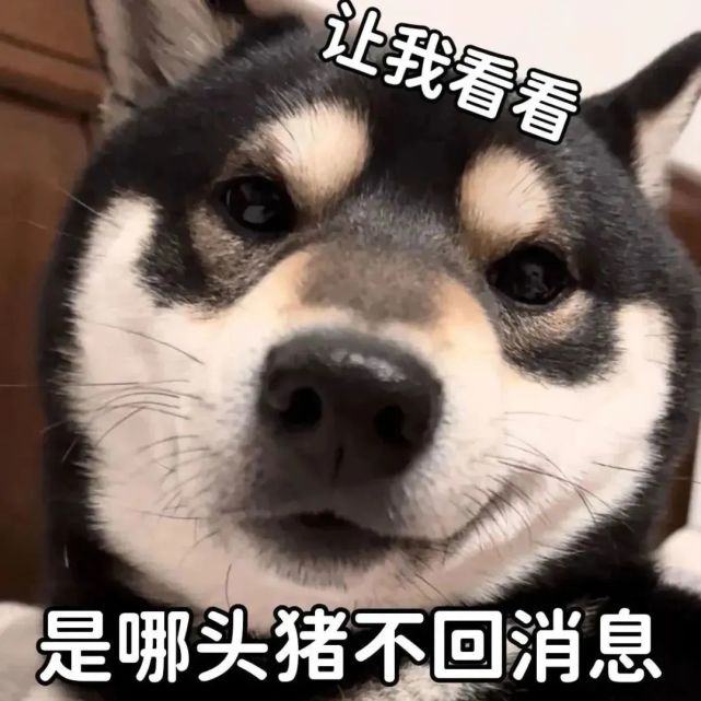 表情包:沙雕表情