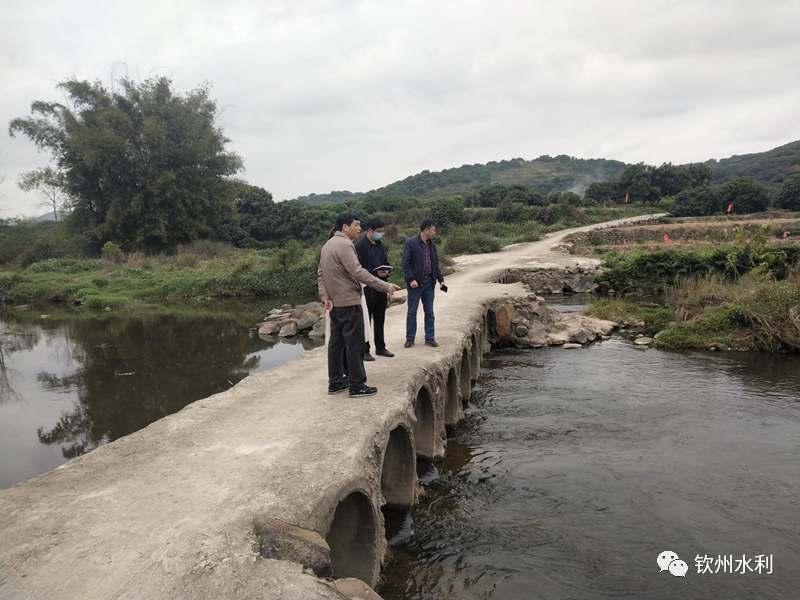 李宏杰副局长到新棠镇督导茅岭江妨碍河道行洪突出问题排查整治工作