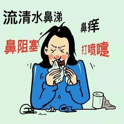 在浙大一院,类似小吴这样的患者群,症状出奇的一致:鼻塞,连续喷嚏,鼻