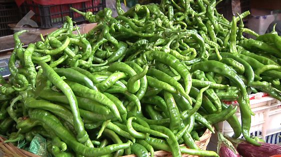 扭扭青椒,尖头椒个个鲜嫩水灵,但却很少有人问津,商贩表示,这都是受