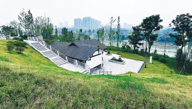 徒步,赏景,美食…泸州这几处滨江公园等你打卡