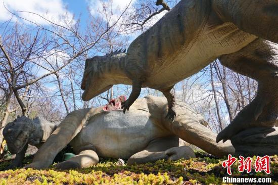 纽约布朗克斯动物园恐龙特展时隔三年回归微信旧密码忘了改新密码2023已更新(知乎/哔哩哔哩)