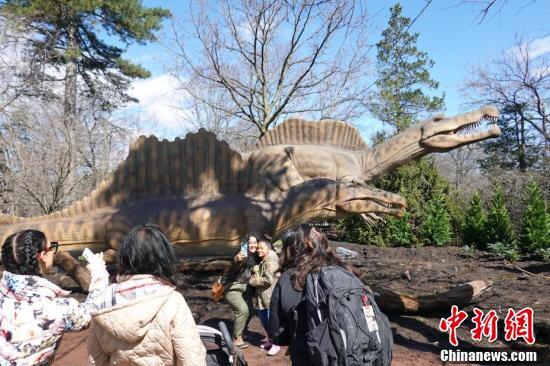 纽约布朗克斯动物园恐龙特展时隔三年回归苏州违建拆除